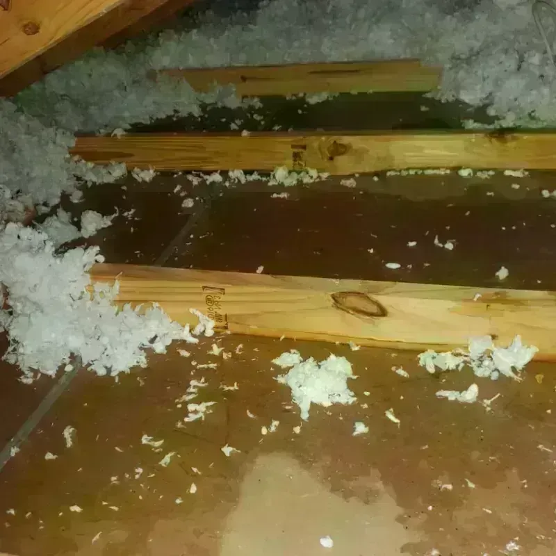 Attic Water Damage in Hickam Field, HI